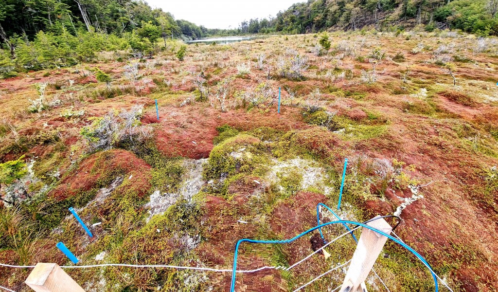 Científicos de la UMAG y Politécnico de México trabajan en Puerto Williams en proyecto de Cambio Climático