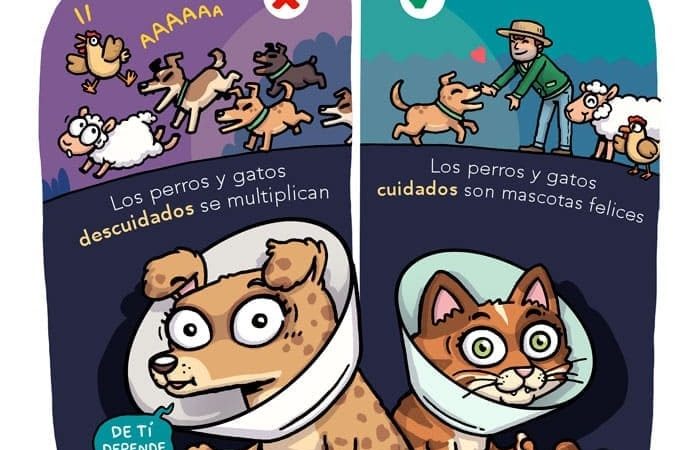 Alianza de Subdere e Indap busca potenciar la tenencia responsable de mascotas en sectores rurales