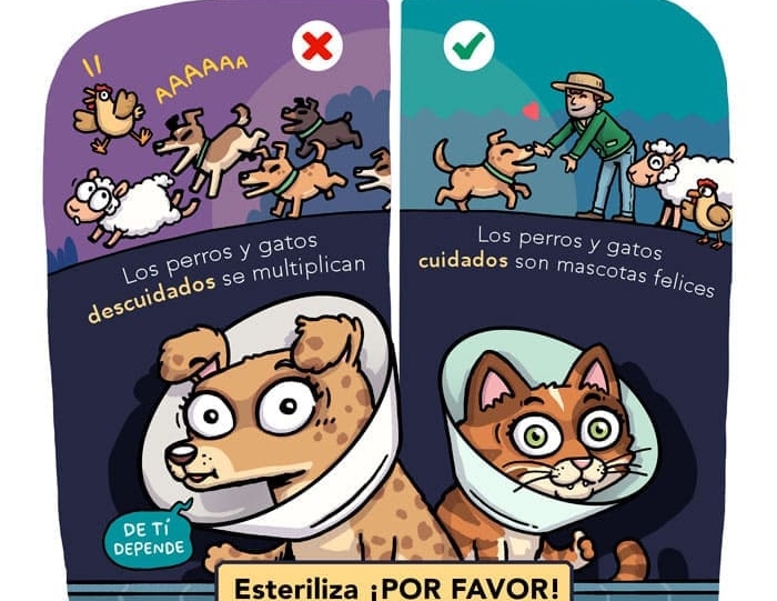 Alianza de Subdere e Indap busca potenciar la tenencia responsable de mascotas en sectores rurales