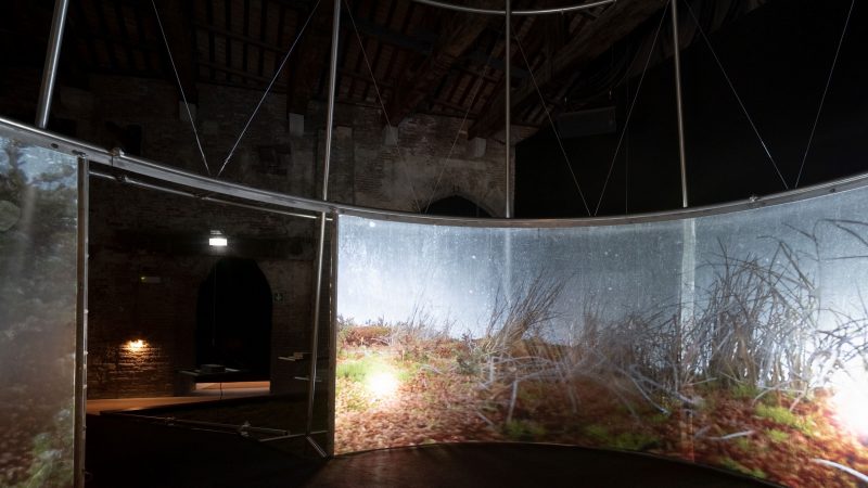 Chile inaugura Pabellón en la 59ª Bienal de Venecia inspirado en las turberas de la Patagonia