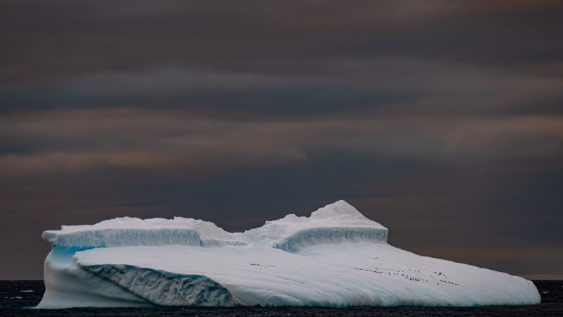 La importancia de una campaña científica de otoño en Antártica