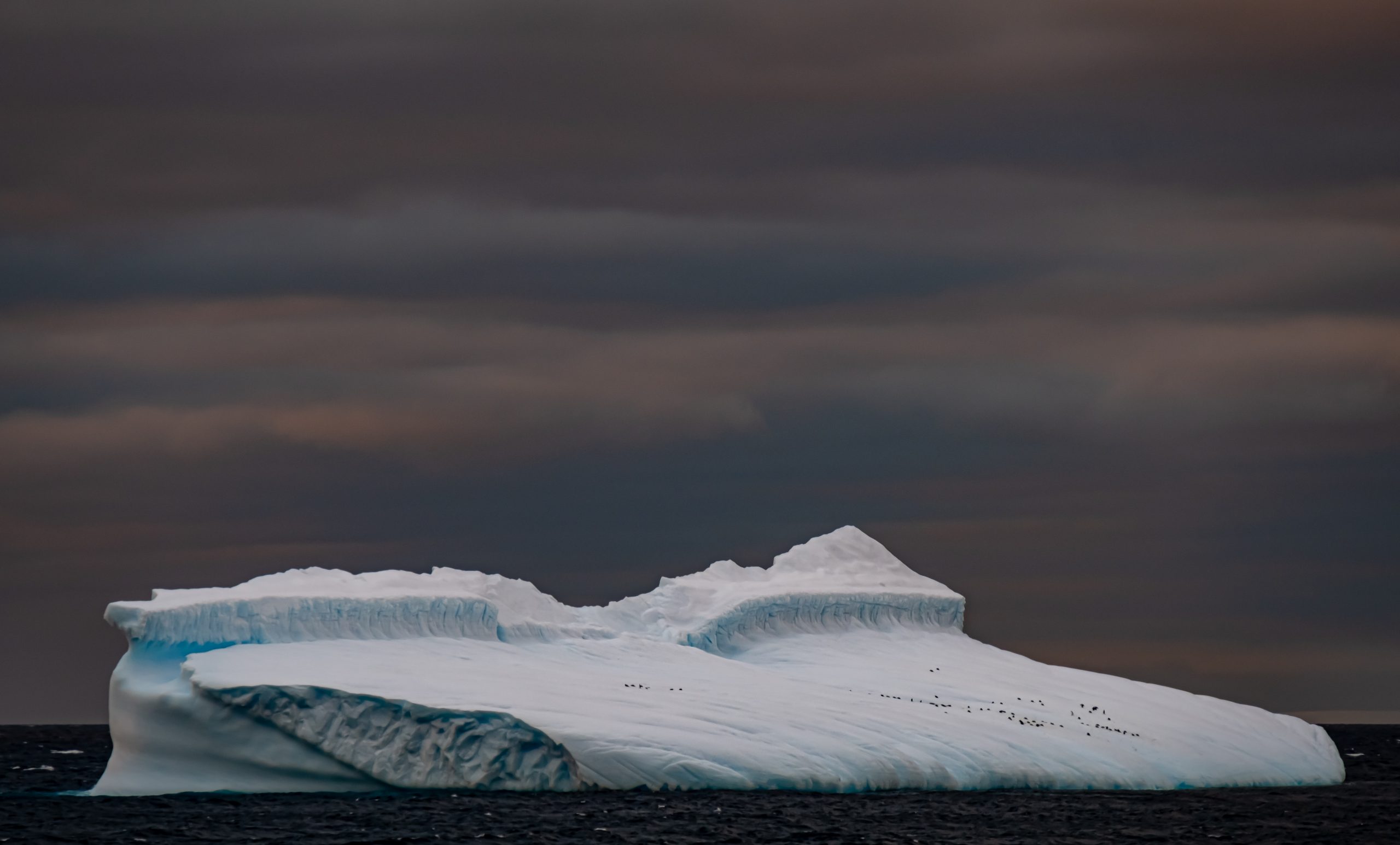 La importancia de una campaña científica de otoño en Antártica
