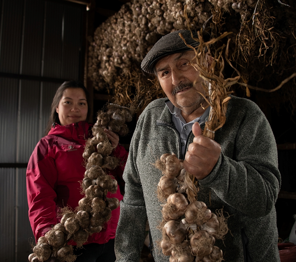 Hugo Contreras el rey del ajo y su secreto para mantener las propiedades y beneficios nutricionales del cultivo en Magallanes