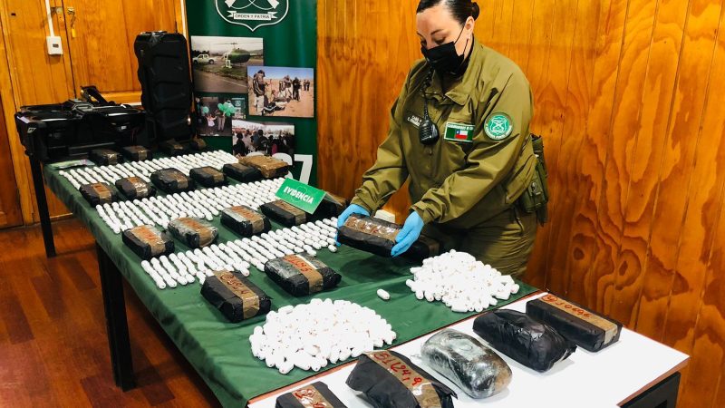 Desbaratan organización criminal más grande de la región de Magallanes, integrada por extranjeros dedicados al tráfico de drogas
