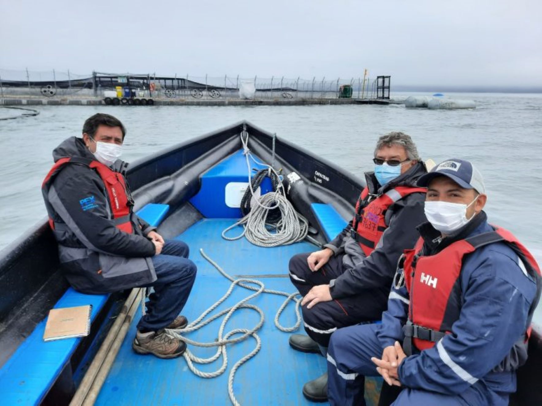 Estudian trayectoria laboral de trabajadores en las empresas salmoneras del sur de Chile