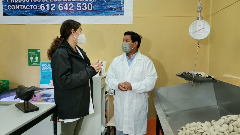 SEREMI de Salud dra. Francisca Sanfuentes participa en campaña preventiva, para evitar consumo de mariscos contaminados con toxinas marinas