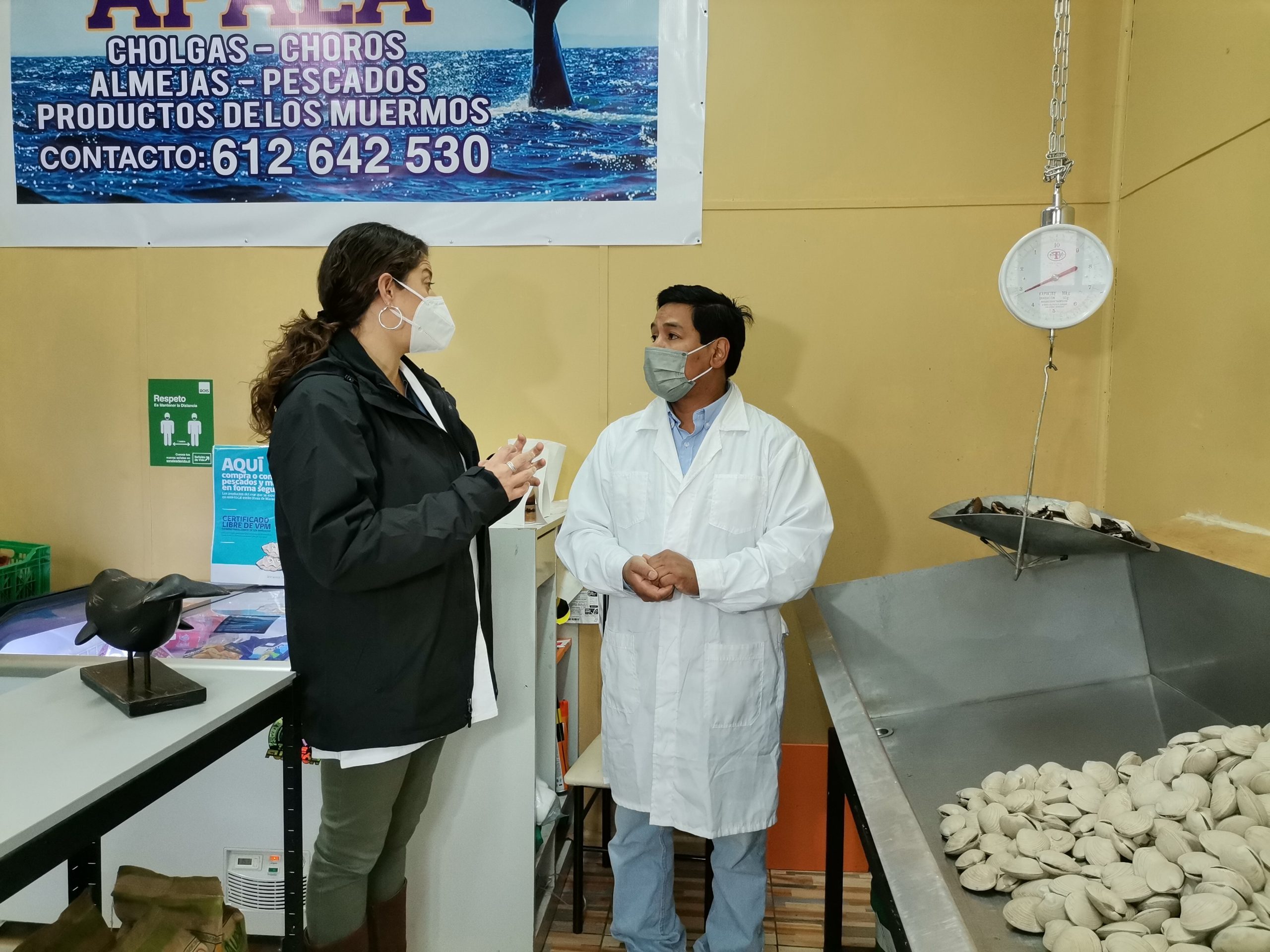 SEREMI de Salud dra. Francisca Sanfuentes participa en campaña preventiva, para evitar consumo de mariscos contaminados con toxinas marinas