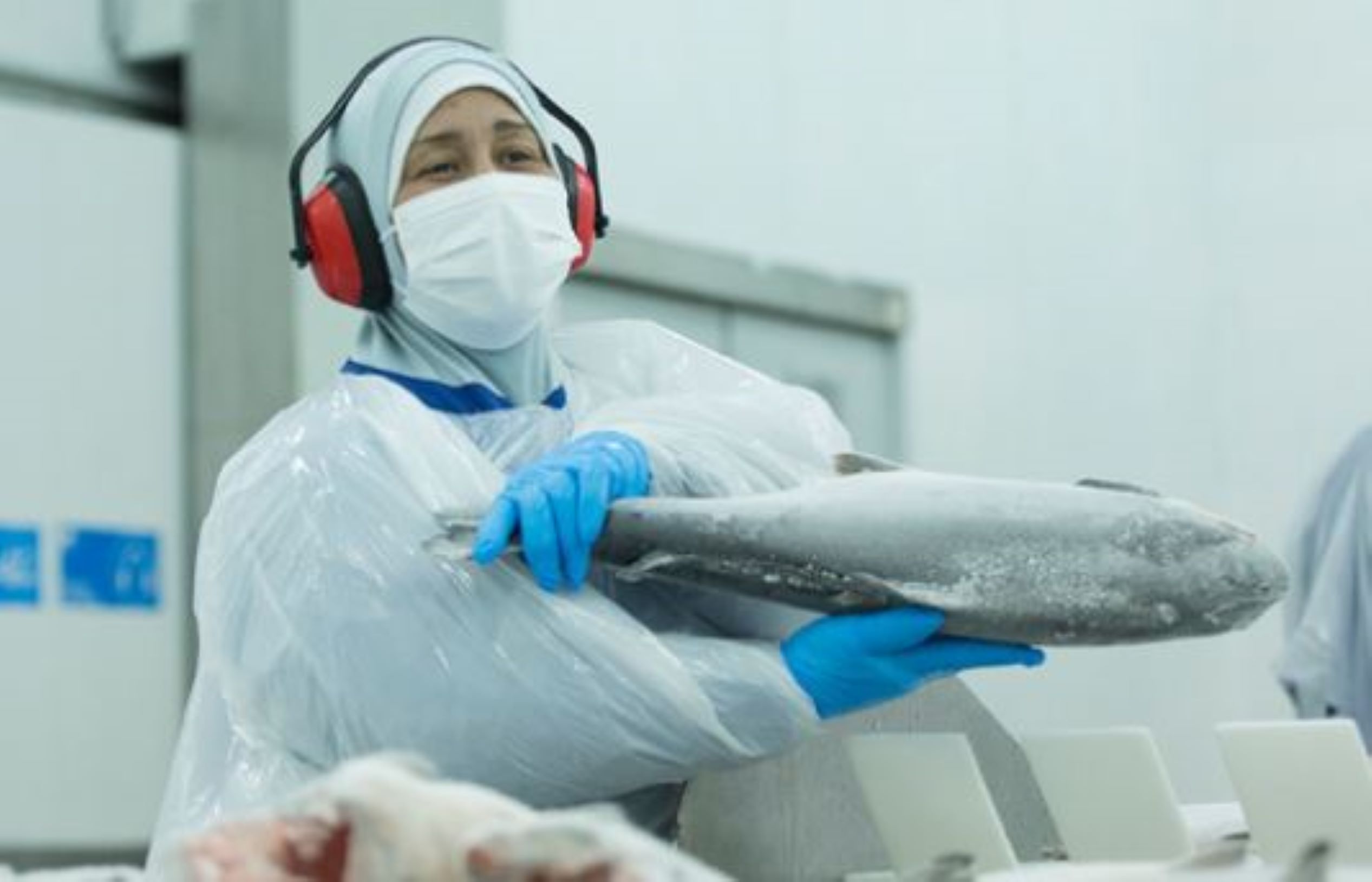 Ingresos de empresa Salmones Austral subieron un 40% y superaron los US$ 250 millones durante 2021