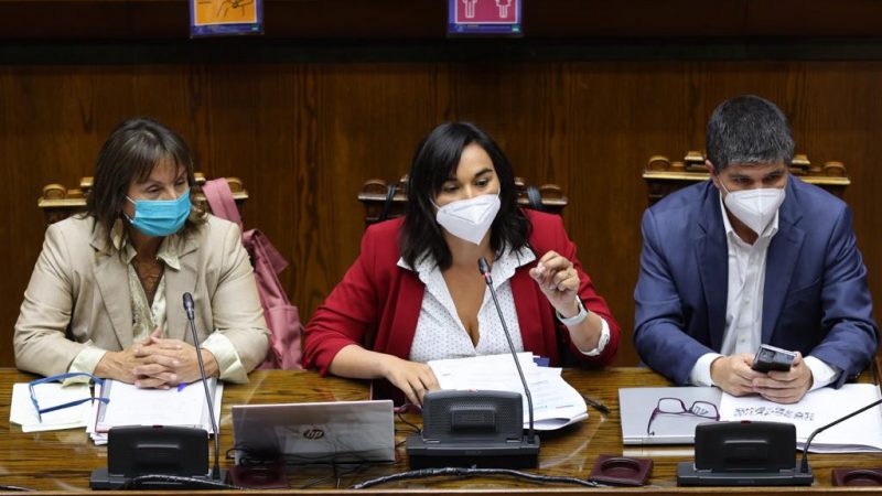 Ministra del Interior Izkia Siches explicó en el Senado la estrategia con la que el Gobierno enfrenta violencia en el sur de Chile