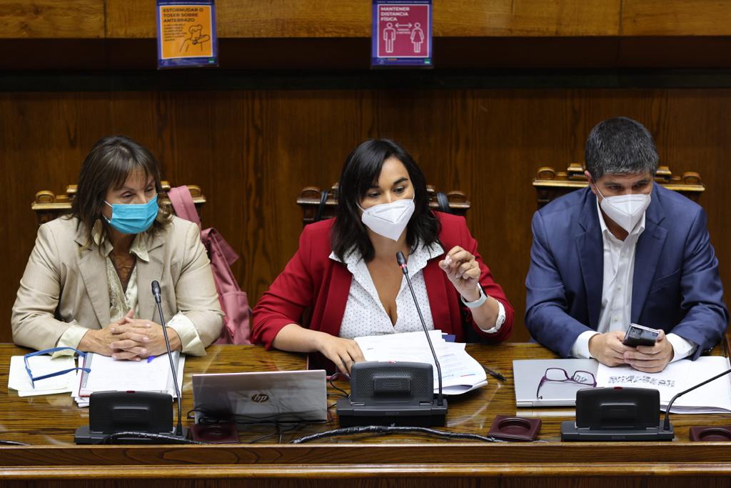 Ministra del Interior Izkia Siches explicó en el Senado la estrategia con la que el Gobierno enfrenta violencia en el sur de Chile