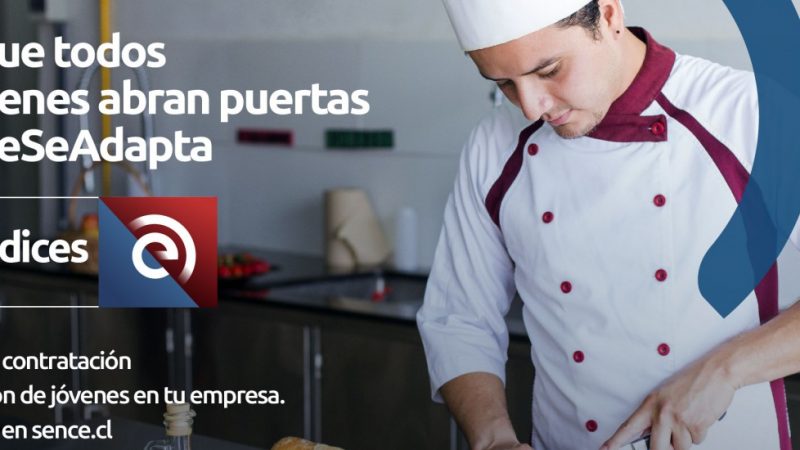 SENCE Magallanes difunde convocatoria al programa Aprendices, dirigido a jóvenes trabajadores