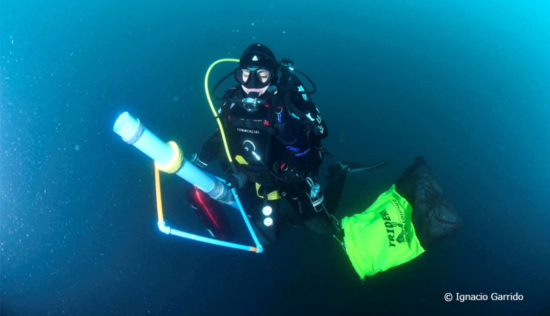 Científicos del Centro IDEAL de Magallanes buscan crear primer registro de especies foráneas marinas en Antártica