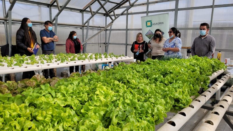 Seremi de Agricultura de Magallanes llama a productores regionales a participar en concursos para riego