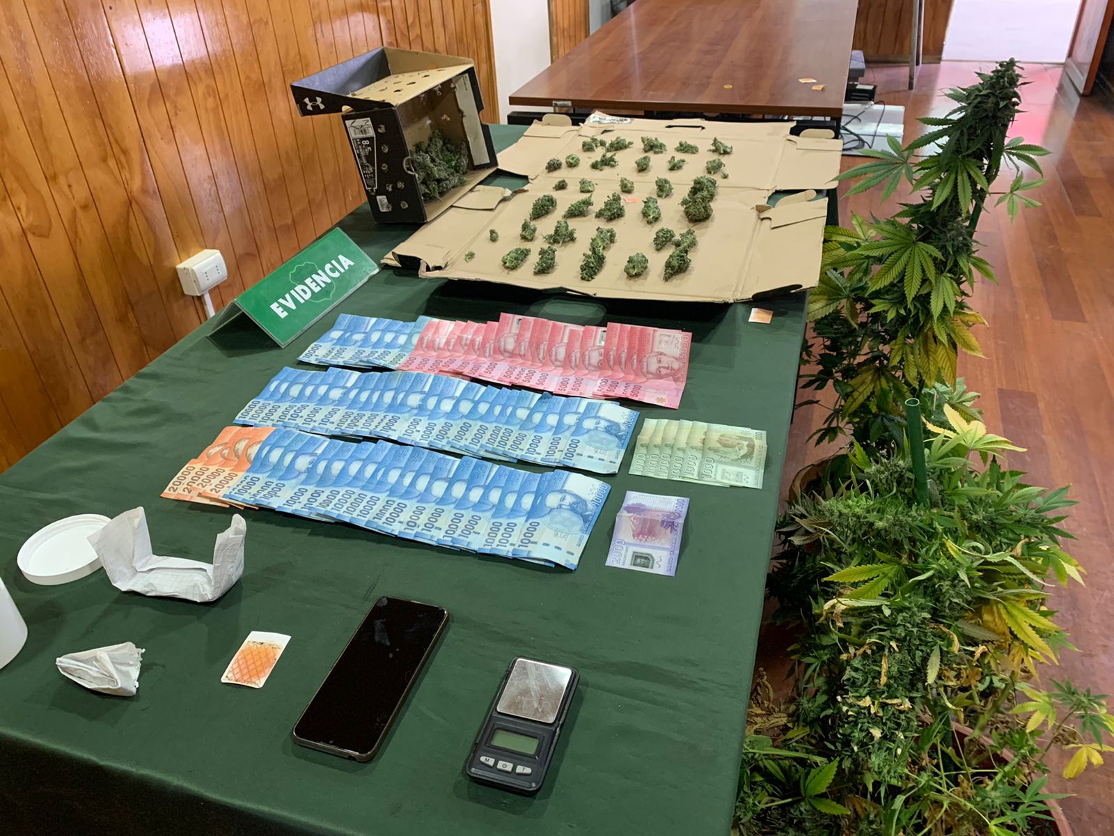 Carabineros detiene a traficante de pequeñas cantidades de droga en el sector El Pinguino de Punta Arenas