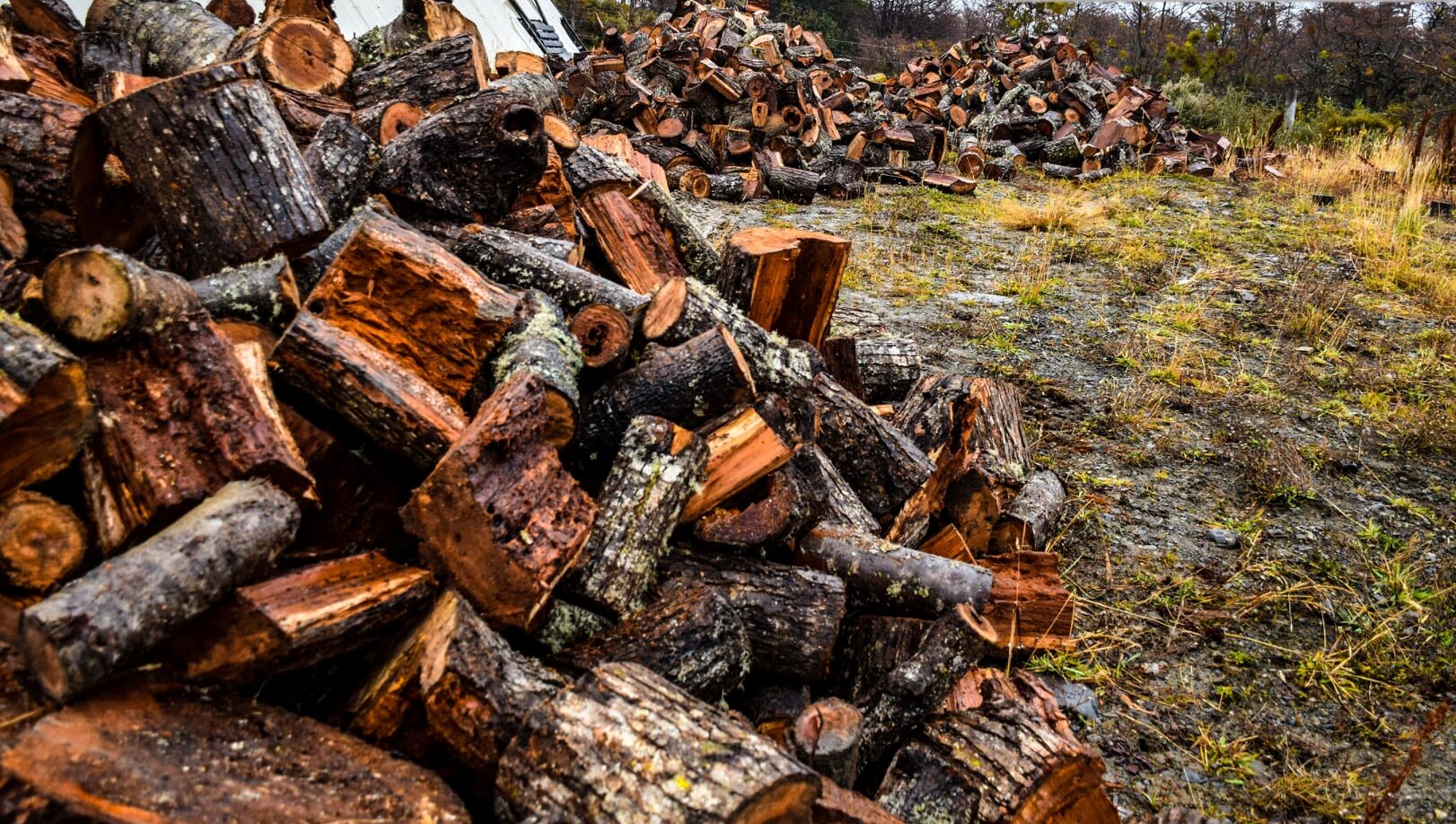 Conaf Cabo de Hornos aclara situación sobre entrega de leña social en Puerto Williams