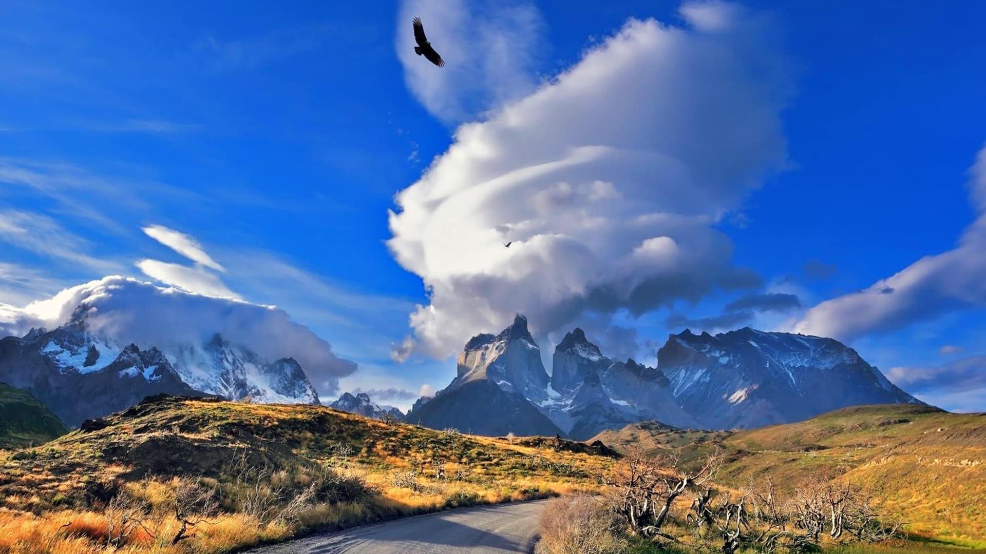 Asociación de Hoteles y Servicios Turísticos de Torres del Paine pide flexibilidad en los horarios, para disfrutar de los atractivos del Parque Nacional Torres del Paine