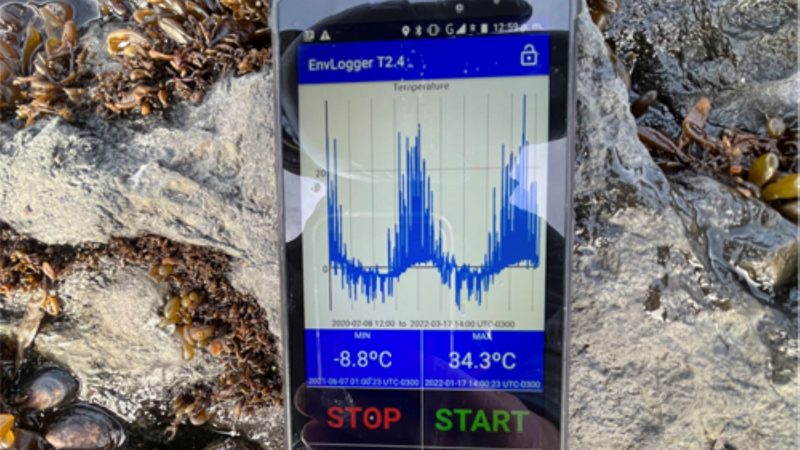 Investigadores del Centro IDEAL registran temperatura de 34° C en territorio antártico