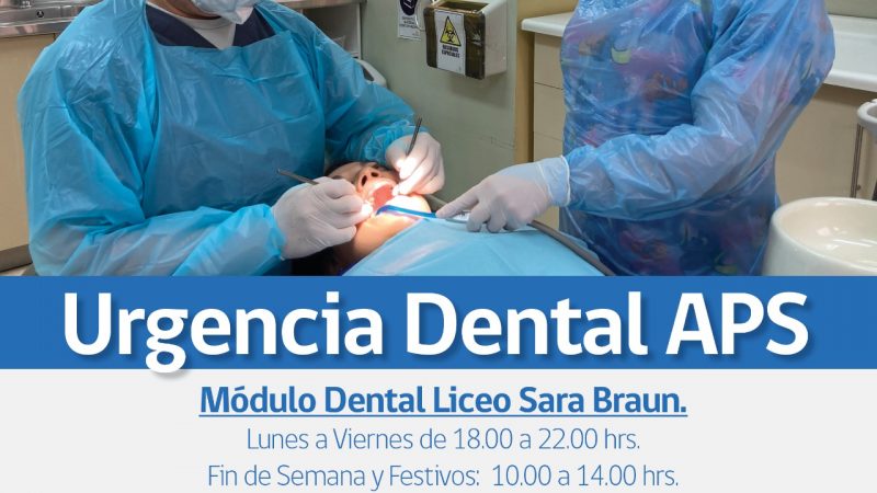 Más de 100 cupos semanales dispondrá Urgencia Dental APS en módulo del Liceo Sara Braun de Punta Arenas