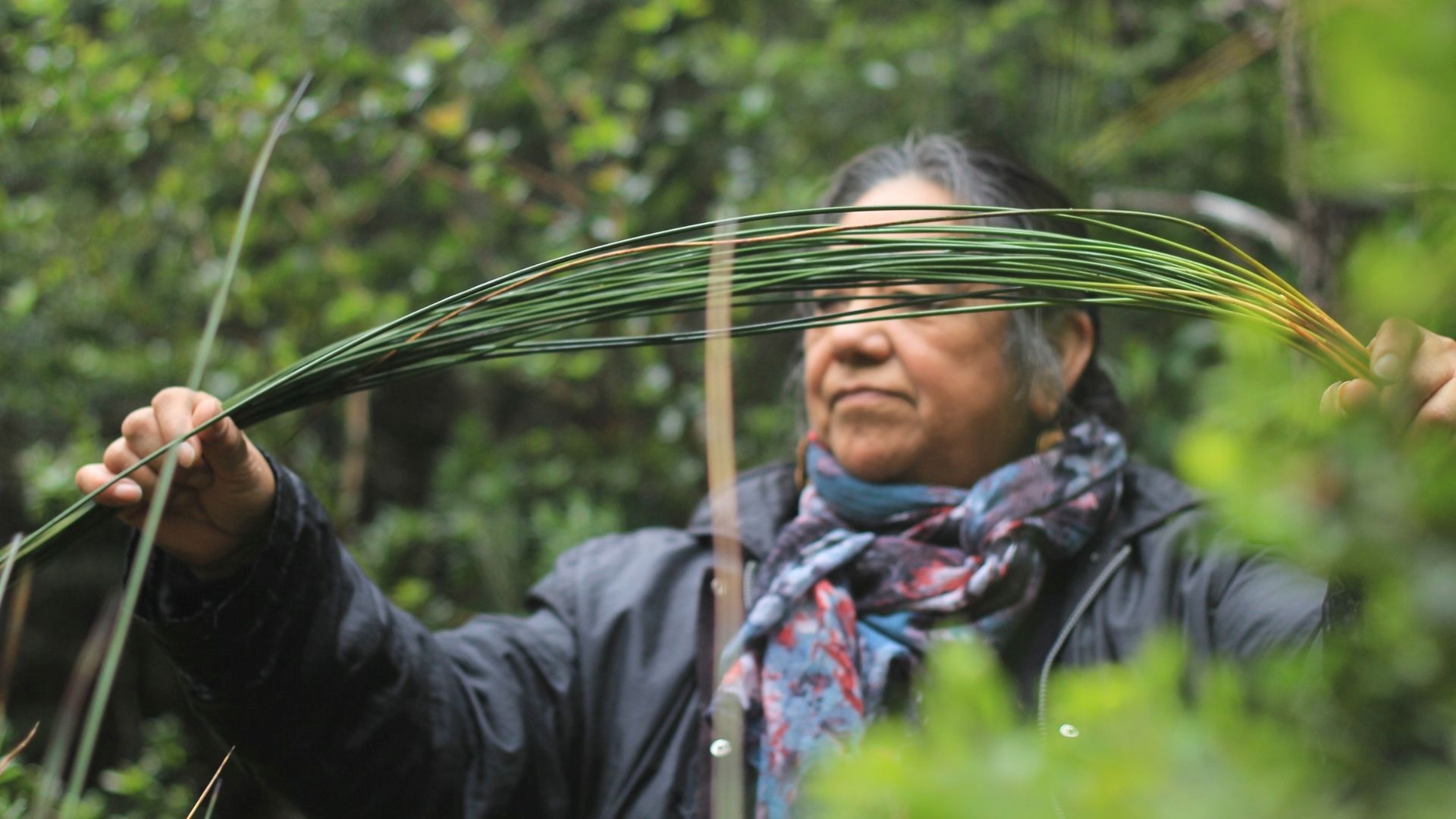 Tejer saberes y tradiciones: el desafío de la cestería kawésqar en Magallanes
