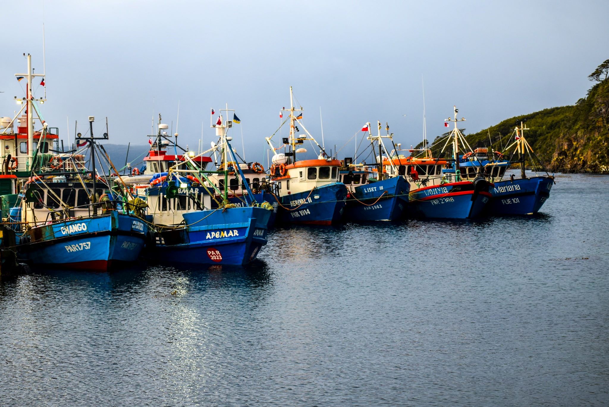 En “Gobierno en Terreno” identifican brechas y necesidades de la comunidad de Puerto Toro en la provincia Antártica