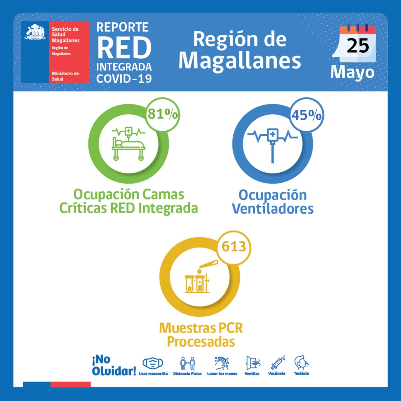 Estado de la red integrada covid19 en la región de Magallanes | 25 de mayo