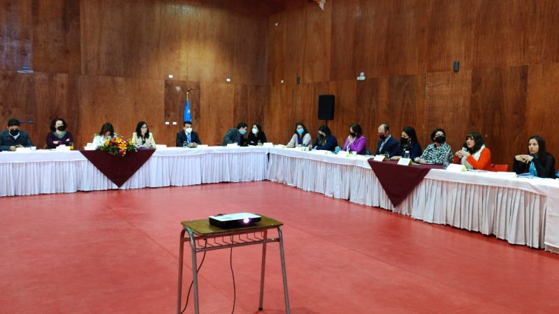 Gabinete Regional en Puerto Natales | «Estas instancias nos permiten ver la provincia que queremos, soñamos y pensamos construir»: Delegada Provincial Romina Alvarez