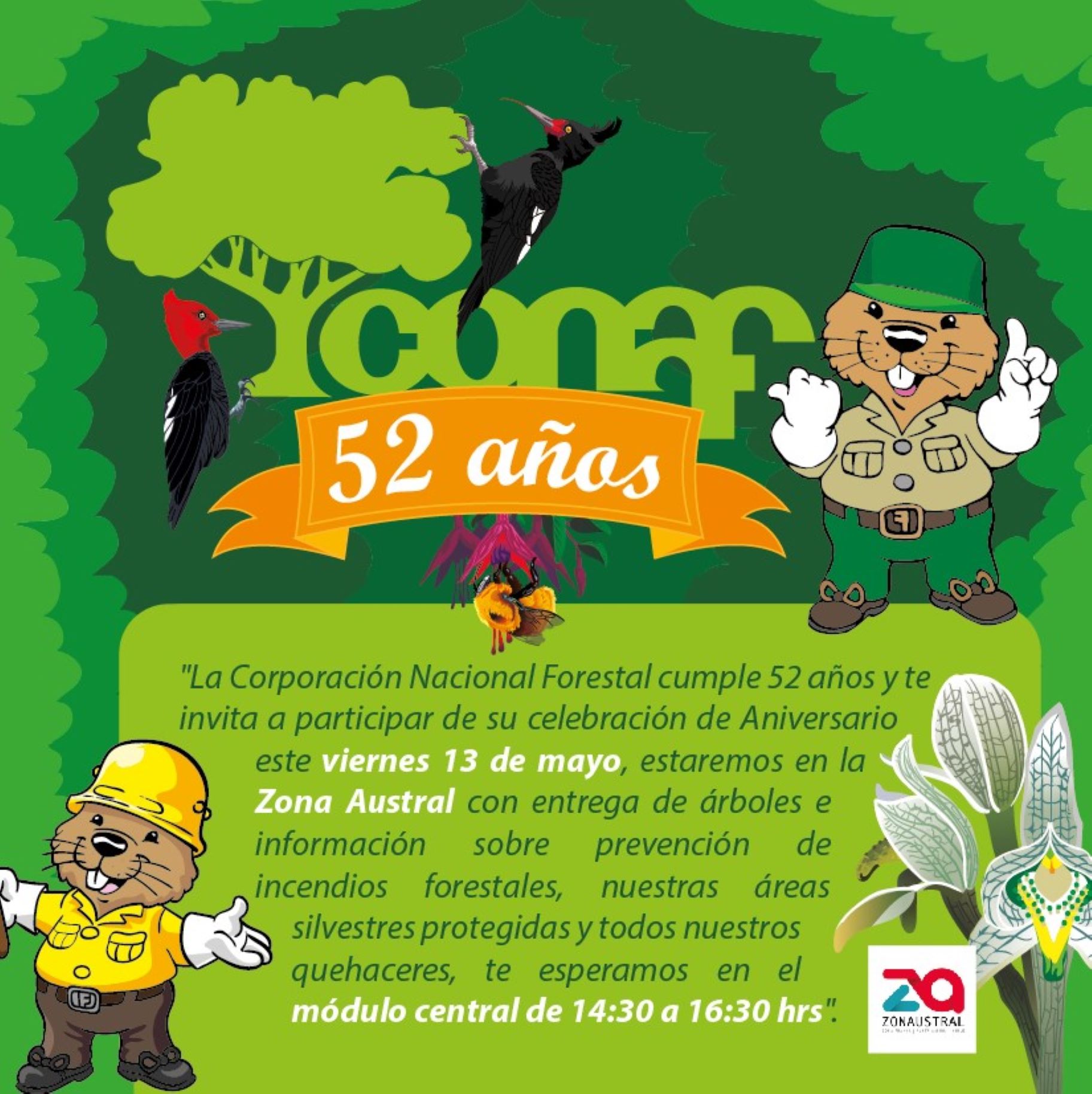 Este viernes 13, CONAF celebra sus 52 años con entrega de árboles | Evento en Zona Franca de Punta Arenas