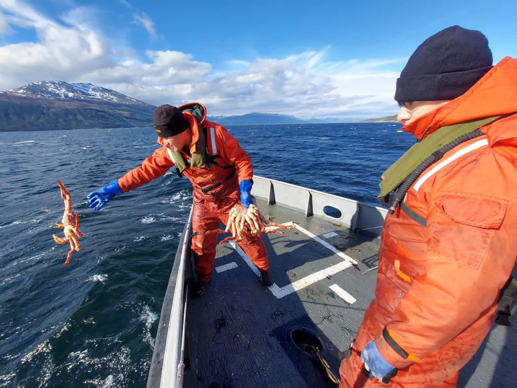 SERNAPESCA entrega balance sobre fiscalizaciones realizadas durante el año 2021 en Magallanes