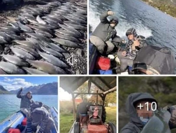Tres turistas nacionales realizaron pesca ilegal en río de Tierra del Fuego: pescaron más de 95 piezas
