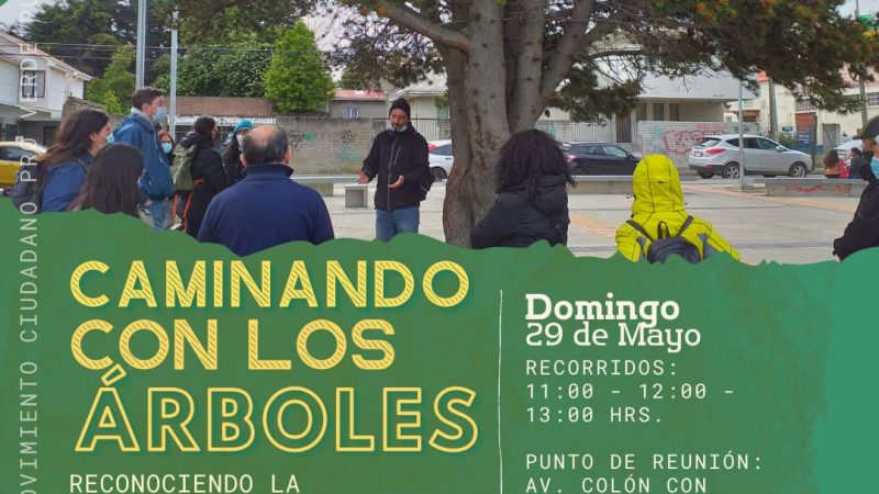 Movimiento Ciudadano ProVerde realizará recorrido denominado Caminando con los Árboles | En Punta Arenas y en el marco del Día de los Patrimonios 2022