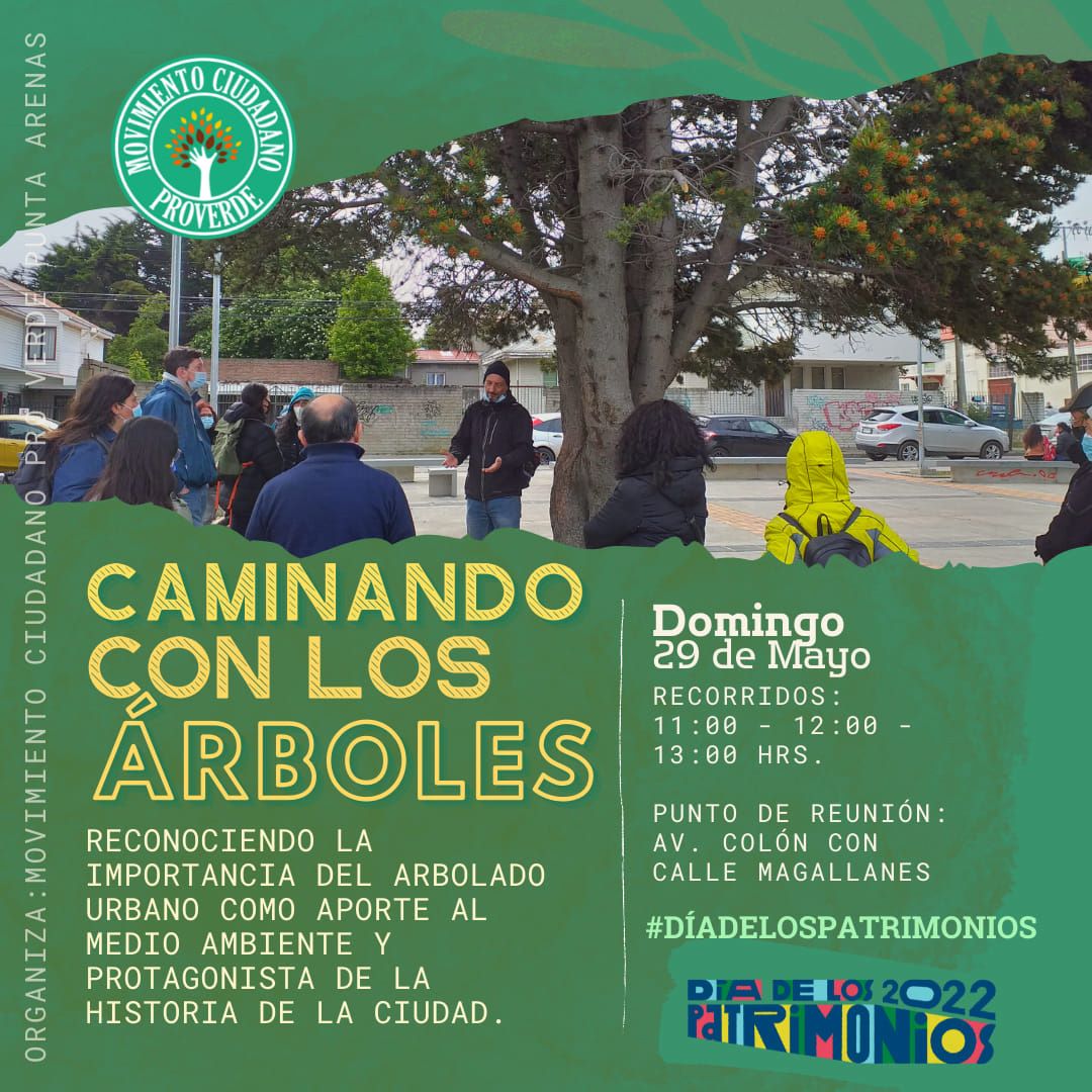 Movimiento Ciudadano ProVerde realizará recorrido denominado Caminando con los Árboles | En Punta Arenas y en el marco del Día de los Patrimonios 2022