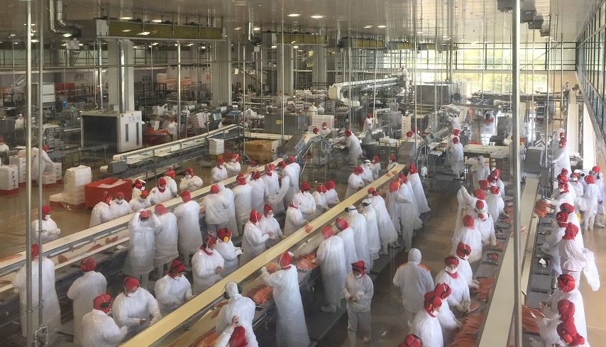 Sindicatos de trabajadores demandan disminución de jornada laboral en plantas de proceso de la industria salmonera