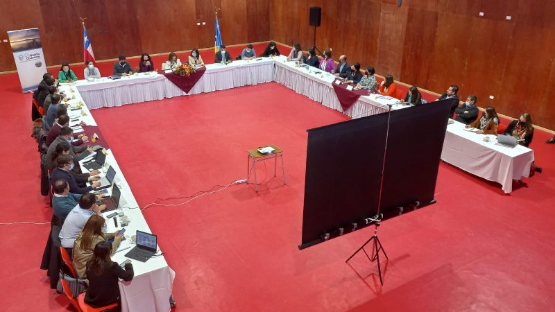 Delegada Presidencial Regional encabezó sesión de Gabinete ampliado en Puerto Natales