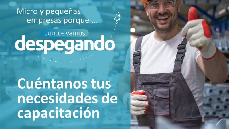 Encuesta de necesidades de capacitación de micro y pequeñas empresas ENECAP 2022 se realizará en Magallanes