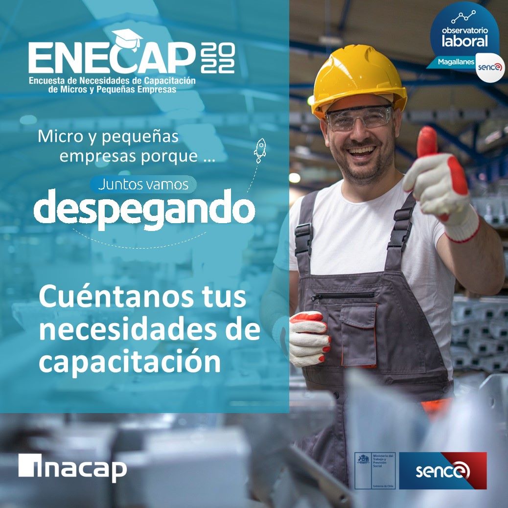 Encuesta de necesidades de capacitación de micro y pequeñas empresas ENECAP 2022 se realizará en Magallanes