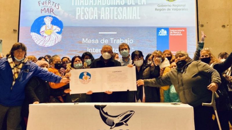 Se constituyó Mesa de Mujeres Trabajadoras de la Pesca Artesanal | La integran representantes de las trabajadoras de Magallanes