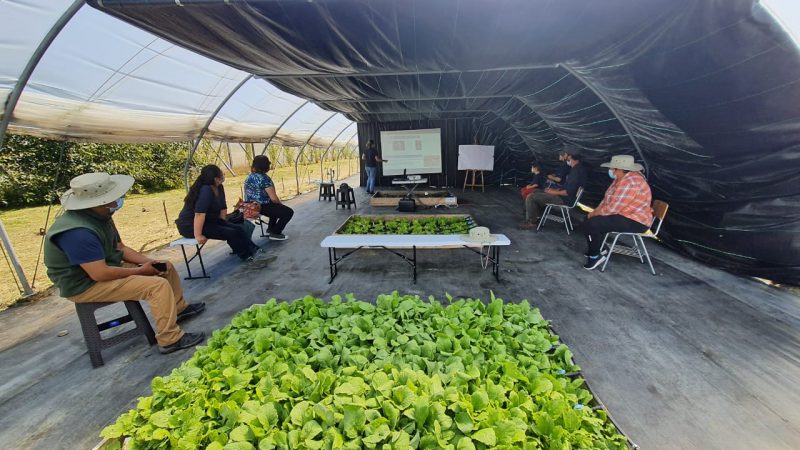 Faro Agroecológico INIA Kampenaike | Un aula al aire libre en Ultima Esperanza, para agricultores de toda la región