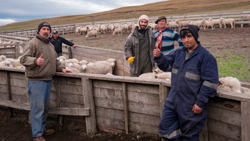 Pymes de las comunas de Porvenir, Primavera y Timaukel aumentaron la competitividad y crecimiento de sus negocios | Programa Acelera Tierra del Fuego de Corfo