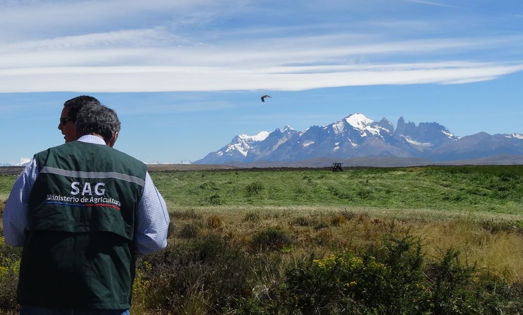 Servicio Agrícola y Ganadero de Magallanes convoca a concurso del Programa Sistema de Incentivos para la Sustentabilidad Agroambiental de los Suelos Agropecuarios