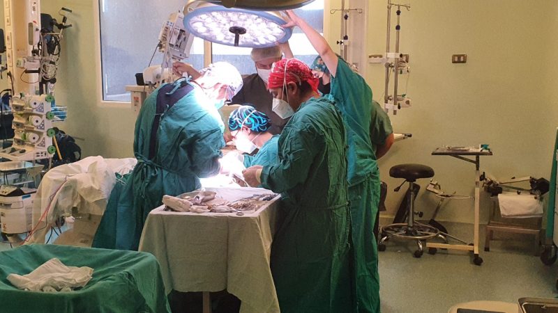 Ronda médica pediátrica benefició a más de 20 menores en Punta Arenas | Trabajo en conjunto entre el Hospital Clínico Magallanes y Hospital Luis Calvo Mackenna