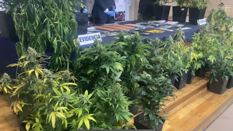 Recuerdan fono Denuncia Seguro para la entrega de información sobre tráfico de drogas