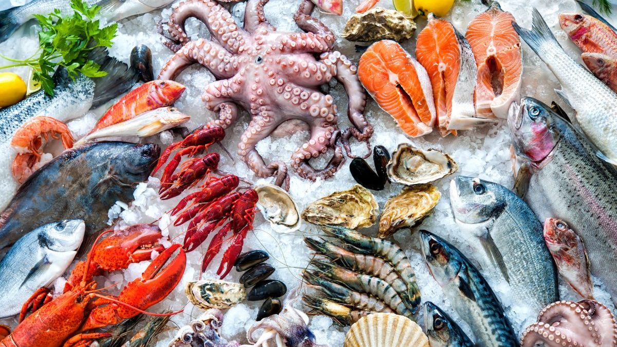 «Cocina en Vivo» se realizará este martes 3 de mayo en el centro de Punta Arenas