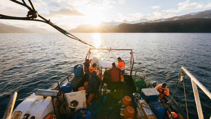 Rescatan datos oceanográficos de anclaje sumergido en el canal Beagle