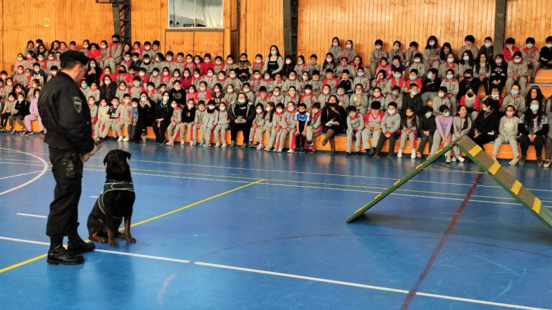 Muestra de adiestramiento canino en la Escuela Bernardo O’Higgins de Puerto Natales