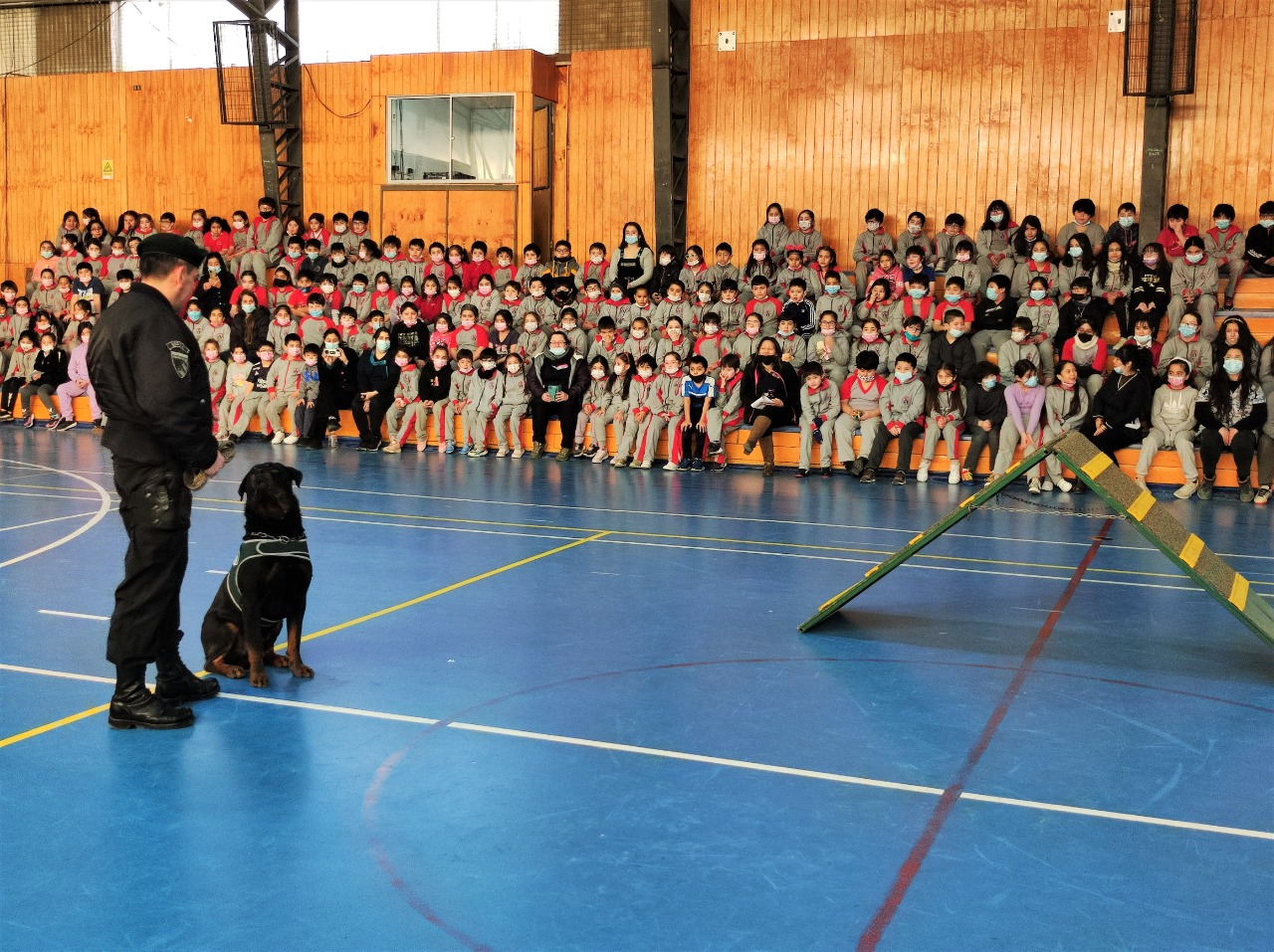 Muestra de adiestramiento canino en la Escuela Bernardo O’Higgins de Puerto Natales