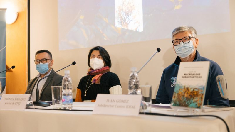 Presentan libro gratuito “Guía de macroalgas subantárticas” en Punta Arenas