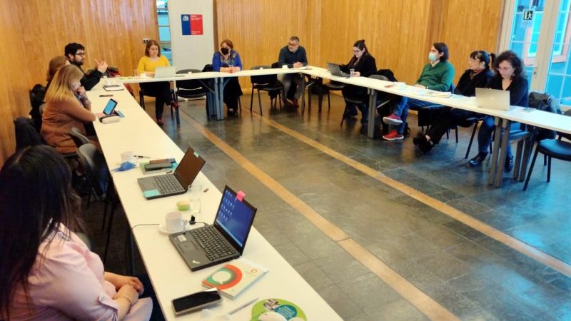 Nueva sesión del COSOC de Energía de Magallanes definió plan de trabajo para segundo semestre