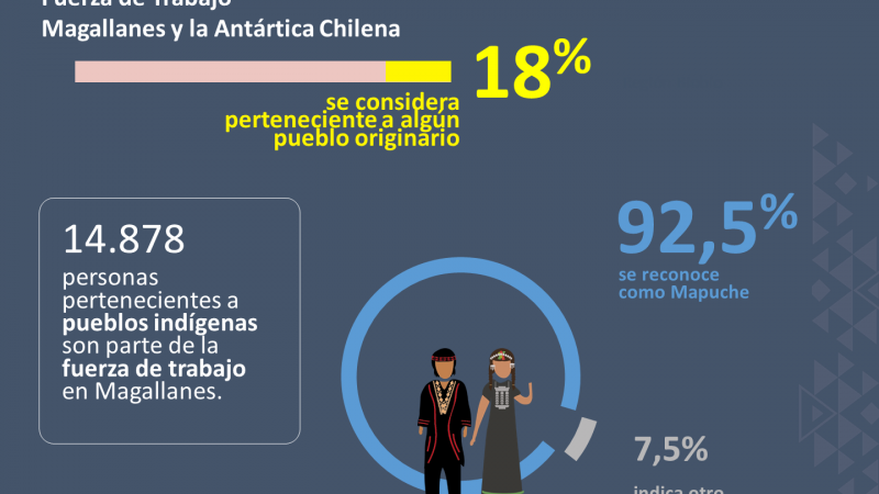18 % de la fuerza de trabajo en la región de Magallanes se considera perteneciente a algún pueblo indígena