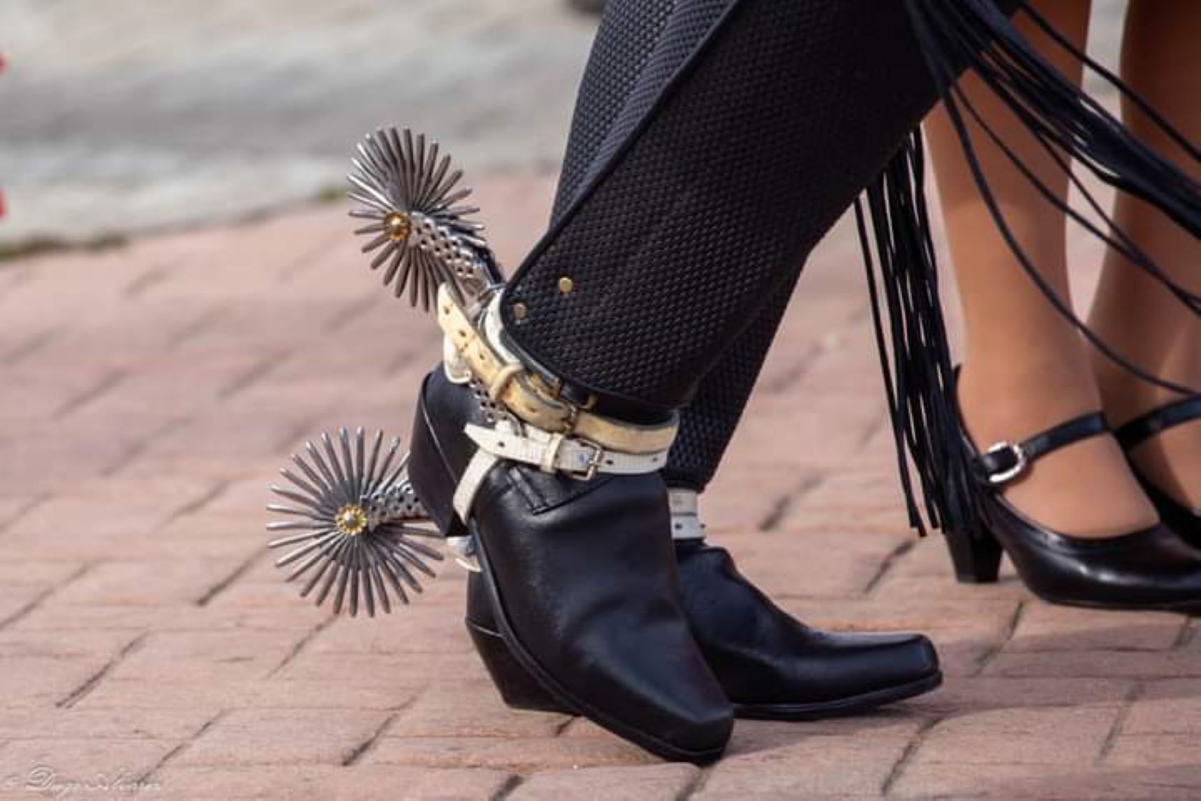 Se celebrará el Día por el Cuequero y la Cuequera en el Centro Cultural Claudio Paredes en Punta Arenas