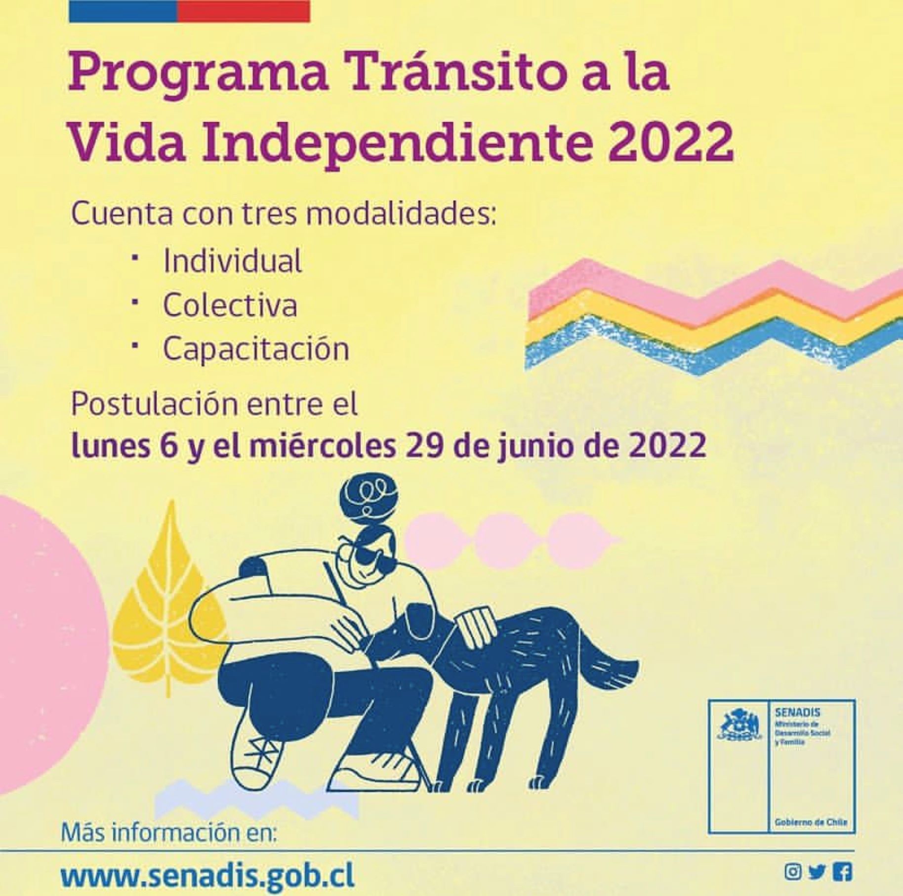 Desarrollo Social y Familia lanza programa para financiar servicios de apoyo y adaptaciones para personas con discapacidad en Magallanes